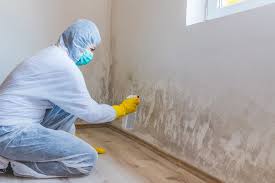 Best Crawl Space Mold Remediation  in Mishawaka, IN